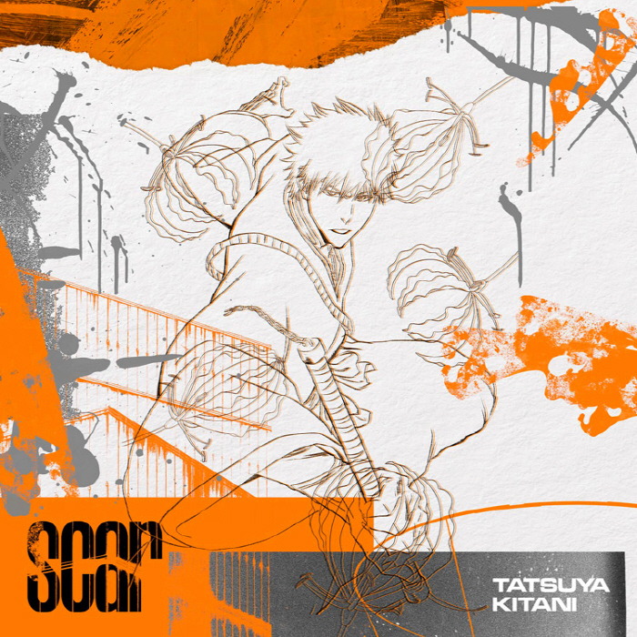 Bleach: Thousand-Year Blood War - scar cover