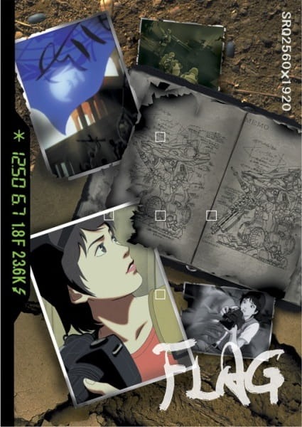 Flag cover